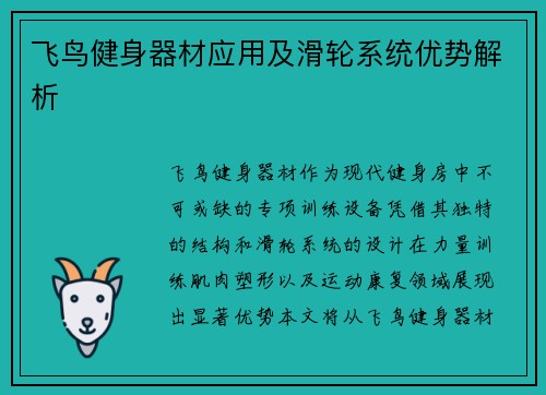 飞鸟健身器材应用及滑轮系统优势解析
